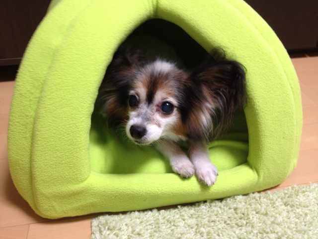 f:id:hikaru233391:20131003141339j:plain f:id:hikaru233391:20131003141339j:plain