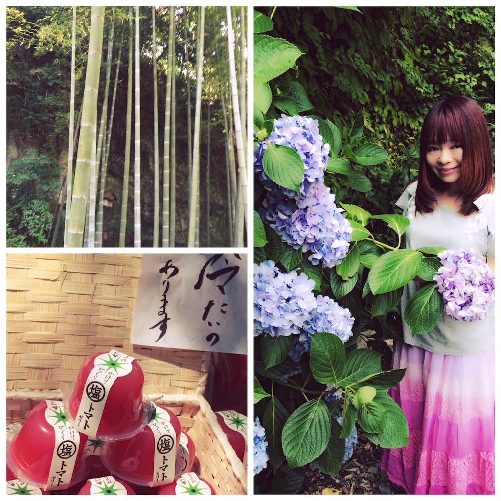 f:id:himari33:20160620133611j:image f:id:himari33:20160620133611j:image