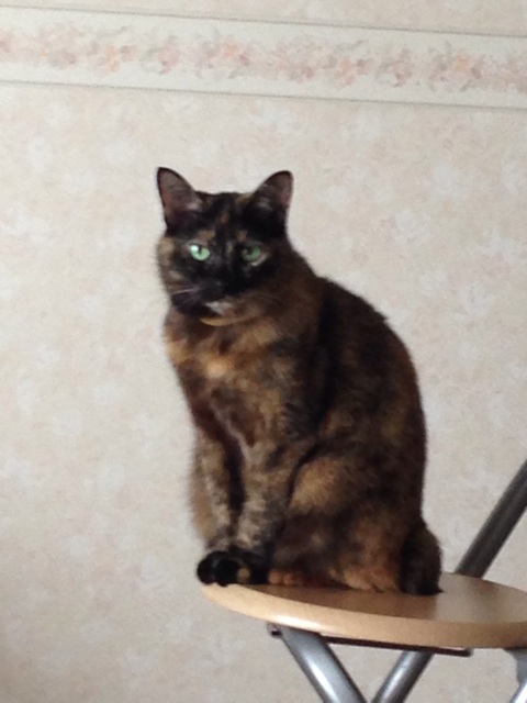 f:id:himemesabi:20141023203311j:plain f:id:himemesabi:20141023203311j:plain