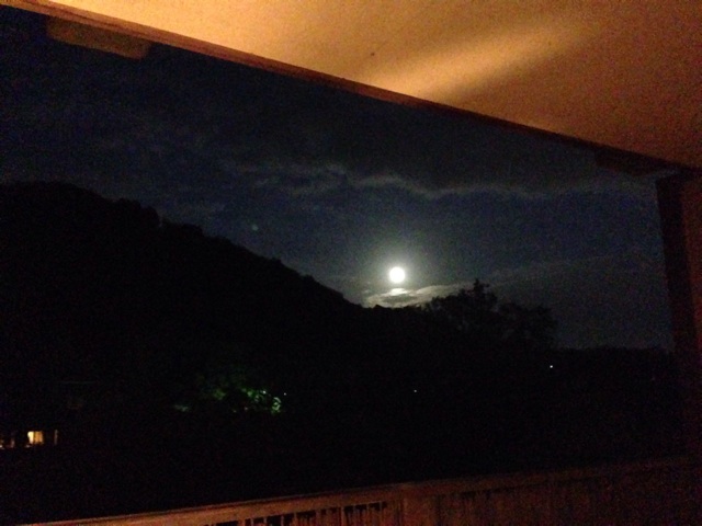 f:id:himemesabi:20141025202337j:plain f:id:himemesabi:20141025202337j:plain