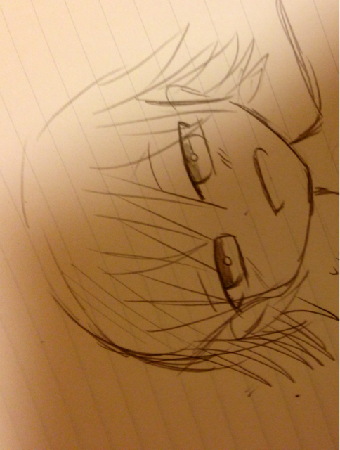 f:id:himena1025:20130731002353j:plain f:id:himena1025:20130731002353j:plain