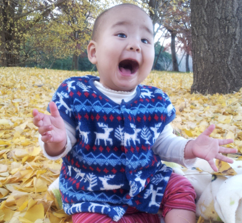 f:id:hinatao-wife:20131206154422j:plain f:id:hinatao-wife:20131206154422j:plain