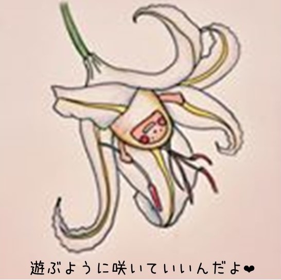 f:id:hinatao-wife:20160106131359j:plain f:id:hinatao-wife:20160106131359j:plain