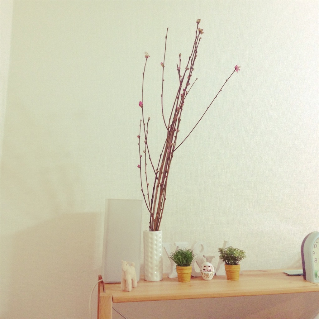 f:id:hiramexxxxx:20160411080011j:image f:id:hiramexxxxx:20160411080011j:image