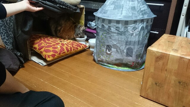 f:id:hiraryo0201:20150506234550j:image f:id:hiraryo0201:20150506234550j:image