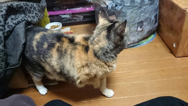 f:id:hiraryo0201:20150506234739j:image f:id:hiraryo0201:20150506234739j:image