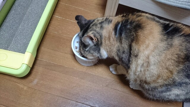 f:id:hiraryo0201:20150512235219j:image f:id:hiraryo0201:20150512235219j:image