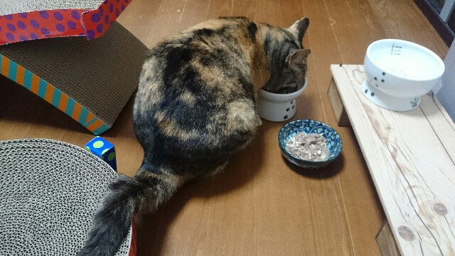 f:id:hiraryo0201:20150515221444j:image f:id:hiraryo0201:20150515221444j:image