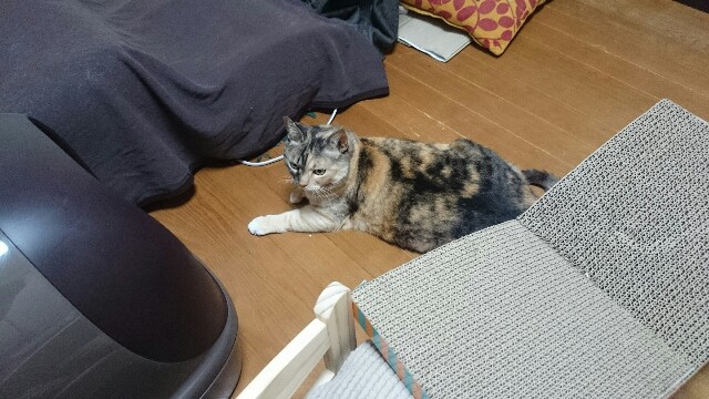 f:id:hiraryo0201:20150516002054j:image f:id:hiraryo0201:20150516002054j:image