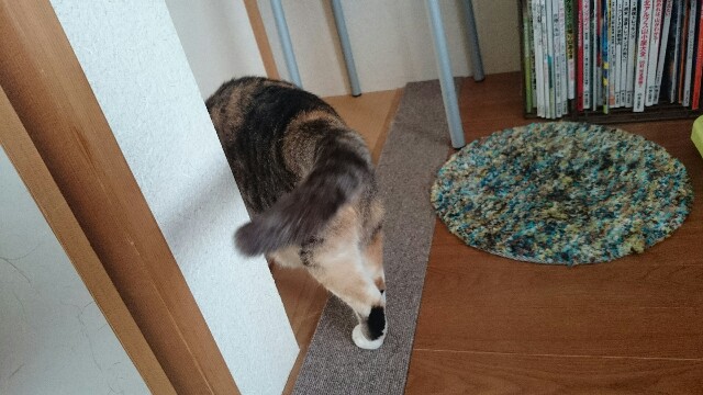 f:id:hiraryo0201:20150517100831j:image f:id:hiraryo0201:20150517100831j:image