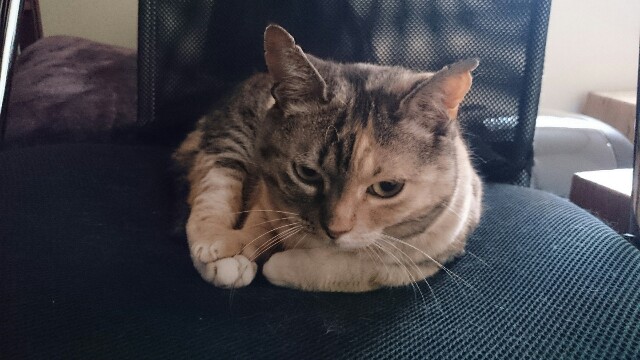 f:id:hiraryo0201:20150519082250j:image f:id:hiraryo0201:20150519082250j:image