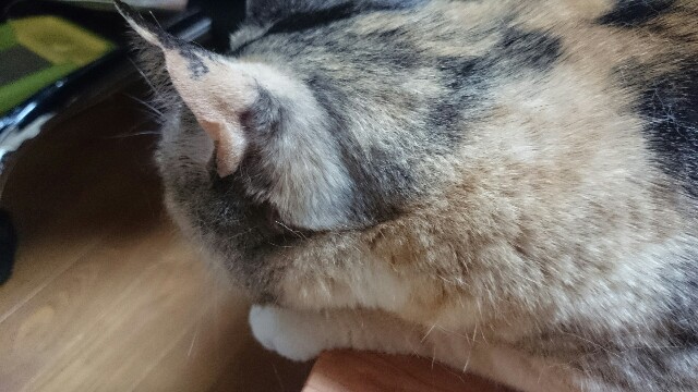 f:id:hiraryo0201:20150521000625j:image f:id:hiraryo0201:20150521000625j:image