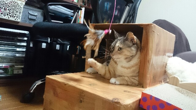 f:id:hiraryo0201:20150522091211j:image f:id:hiraryo0201:20150522091211j:image
