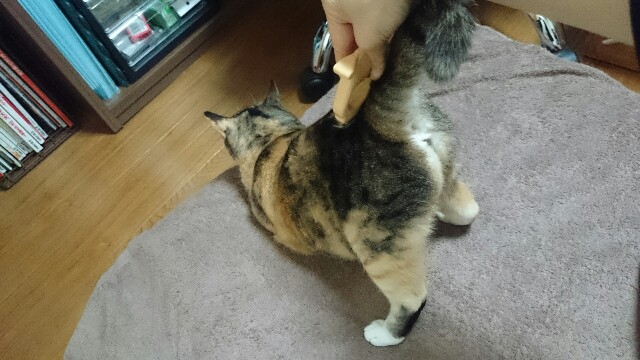 f:id:hiraryo0201:20150527233857j:image f:id:hiraryo0201:20150527233857j:image