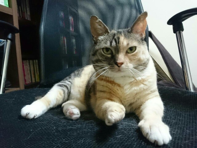 f:id:hiraryo0201:20150605095950j:image f:id:hiraryo0201:20150605095950j:image