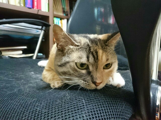 f:id:hiraryo0201:20150605100022j:image f:id:hiraryo0201:20150605100022j:image