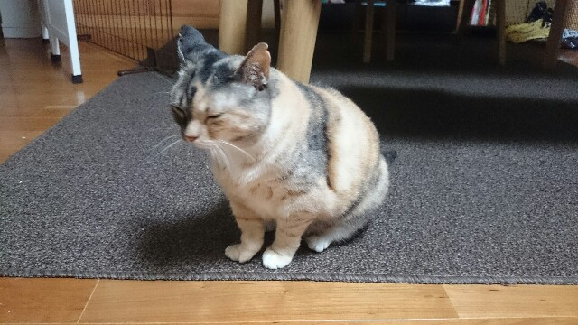 f:id:hiraryo0201:20150722235811j:image f:id:hiraryo0201:20150722235811j:image