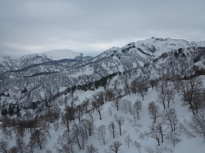 f:id:hirasankun:20150419162344j:plain