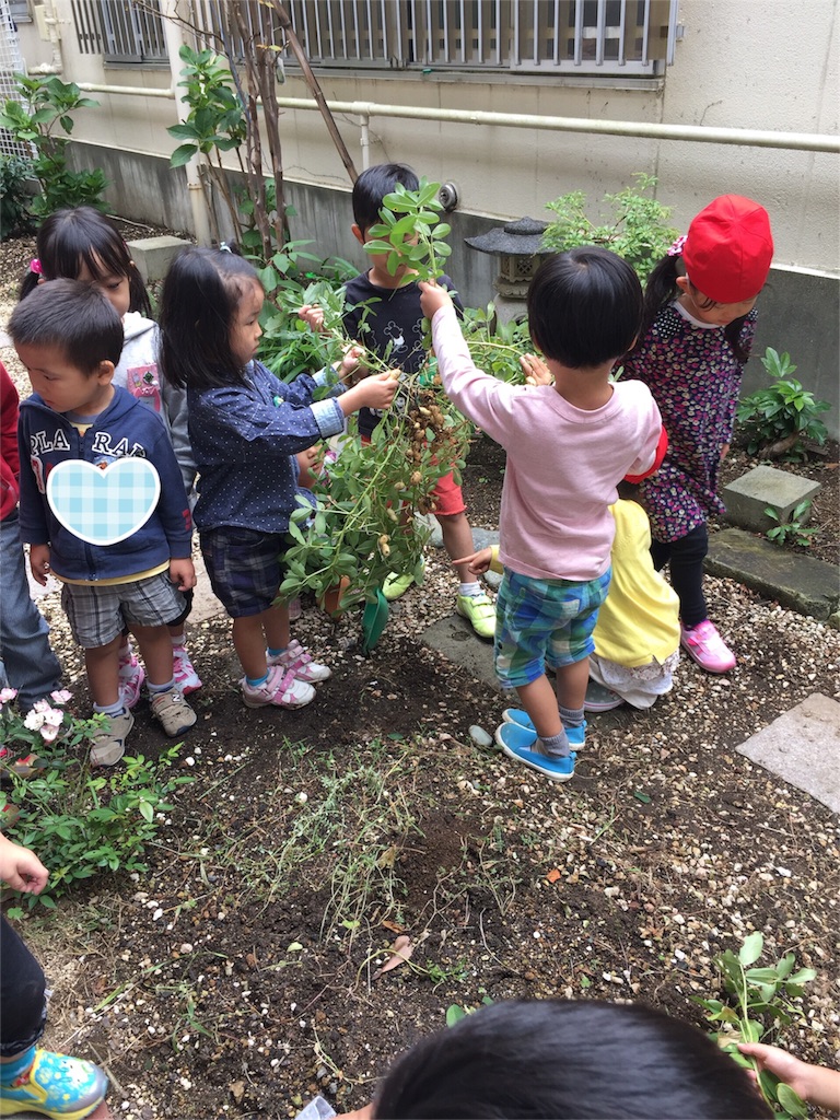 f:id:hiratsukafutaba:20151006215157j:image f:id:hiratsukafutaba:20151006215157j:image