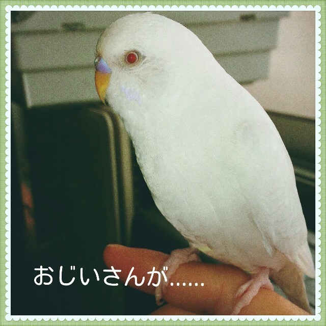f:id:hiro-okawari:20150308140401j:image f:id:hiro-okawari:20150308140401j:image