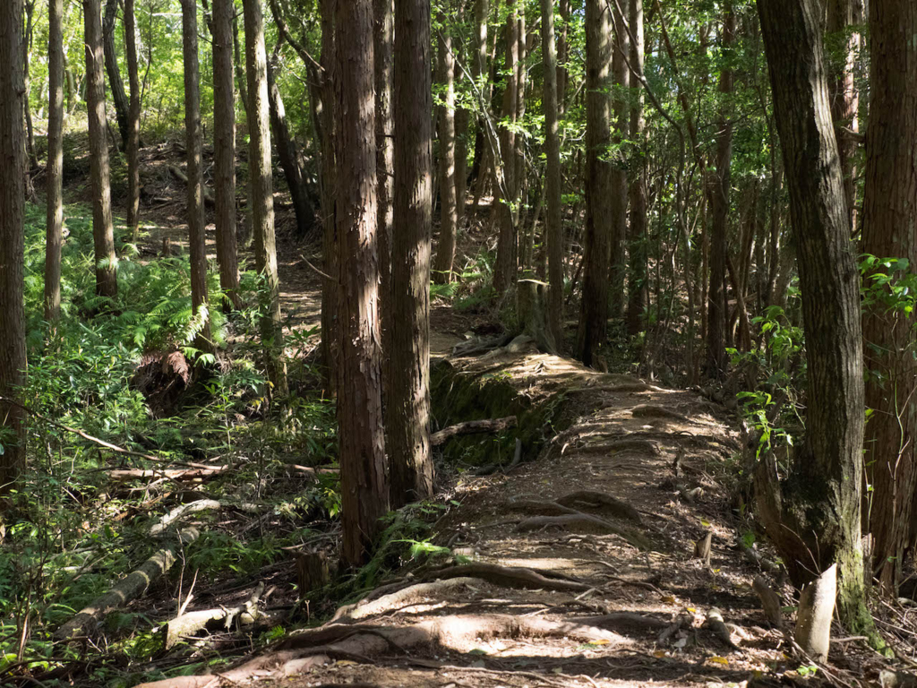 f:id:hiro-ride:20160420005935j:plain