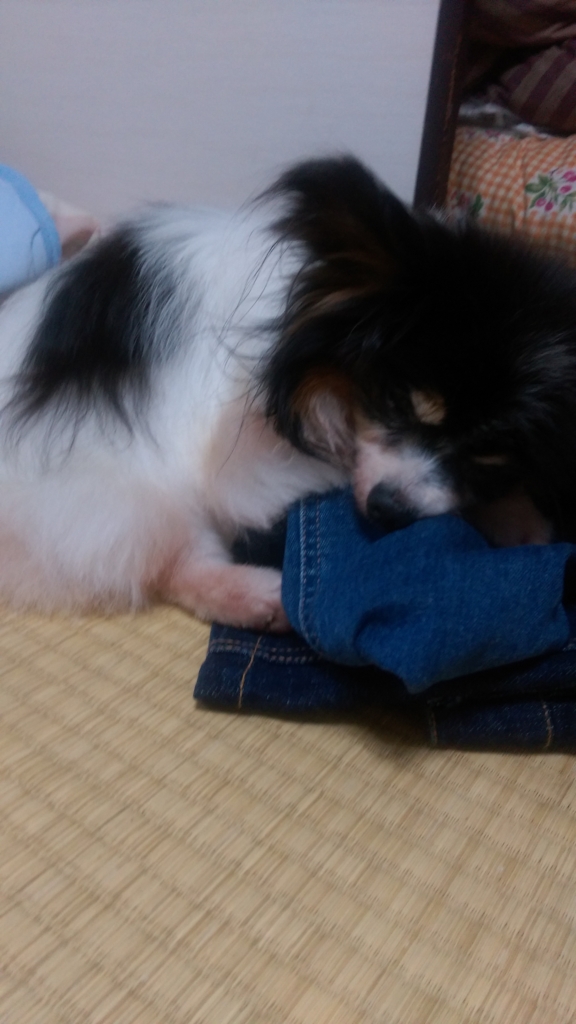 f:id:hiro0310:20150825003710j:plain f:id:hiro0310:20150825003710j:plain