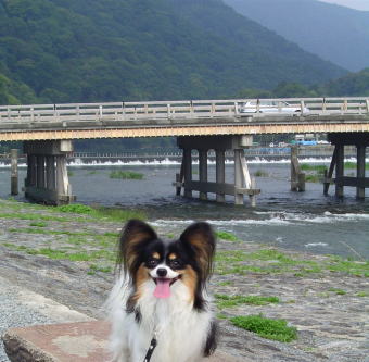 f:id:hiro0310:20160120234913j:plain f:id:hiro0310:20160120234913j:plain