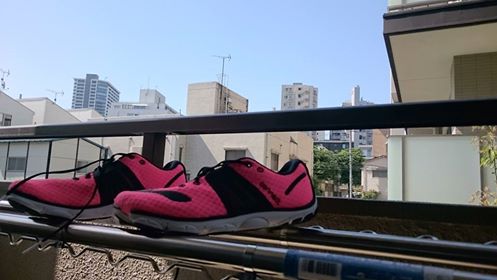 f:id:hiro1981022116:20160508171805j:plain f:id:hiro1981022116:20160508171805j:plain