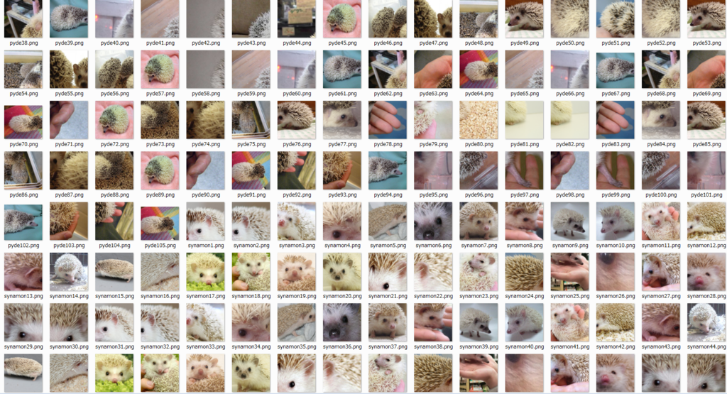 f:id:hiro2o2:20160423150136p:plain f:id:hiro2o2:20160423150136p:plain