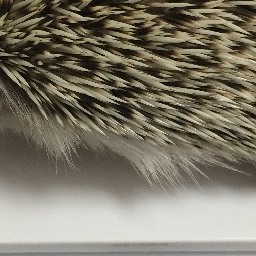 f:id:hiro2o2:20160423151651p:plain f:id:hiro2o2:20160423151651p:plain