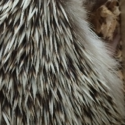 f:id:hiro2o2:20160423151653p:plain f:id:hiro2o2:20160423151653p:plain