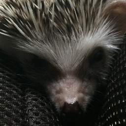 f:id:hiro2o2:20160423151655p:plain f:id:hiro2o2:20160423151655p:plain