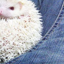 f:id:hiro2o2:20160423153145p:plain f:id:hiro2o2:20160423153145p:plain