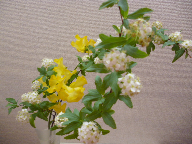 f:id:hiro2yan:20140126143231j:plain f:id:hiro2yan:20140126143231j:plain