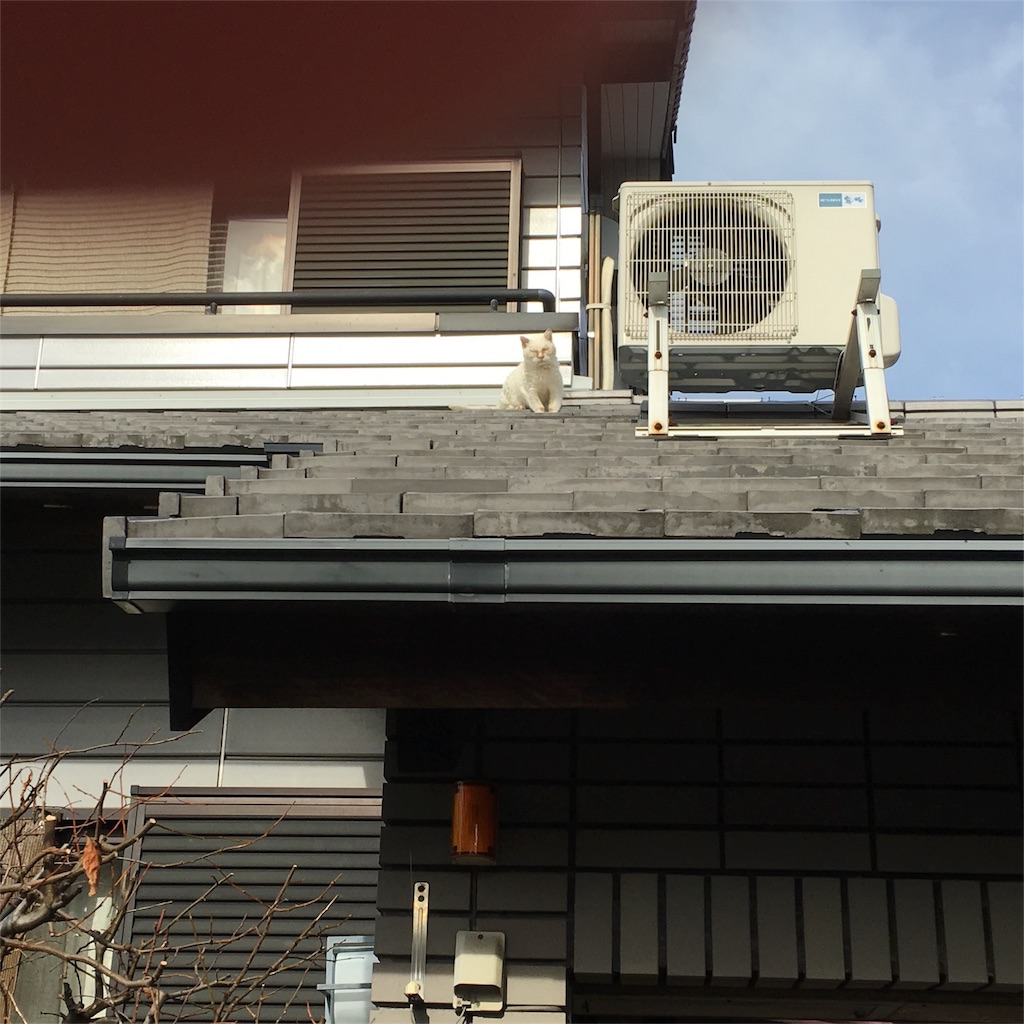 f:id:hiro805151:20160117160953j:image f:id:hiro805151:20160117160953j:image