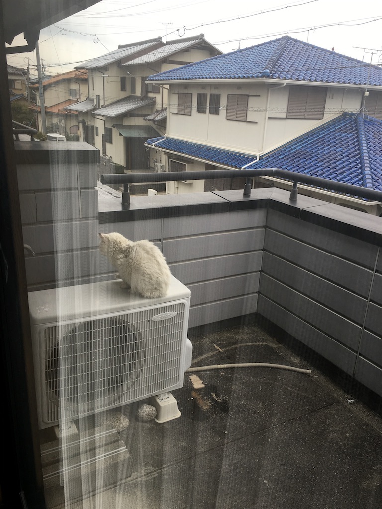 f:id:hiro805151:20160212175241j:image f:id:hiro805151:20160212175241j:image
