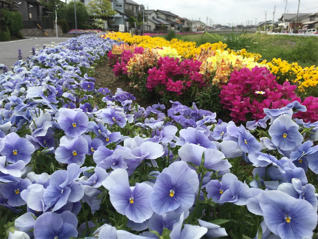 f:id:hiro805151:20160423172041j:image f:id:hiro805151:20160423172041j:image