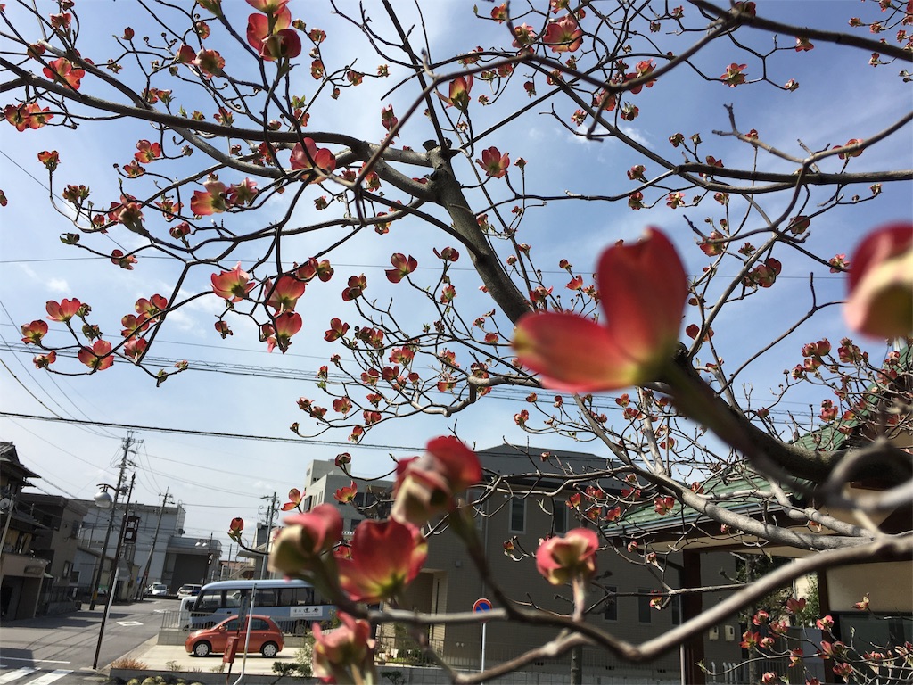 f:id:hiro805151:20160423172145j:image f:id:hiro805151:20160423172145j:image