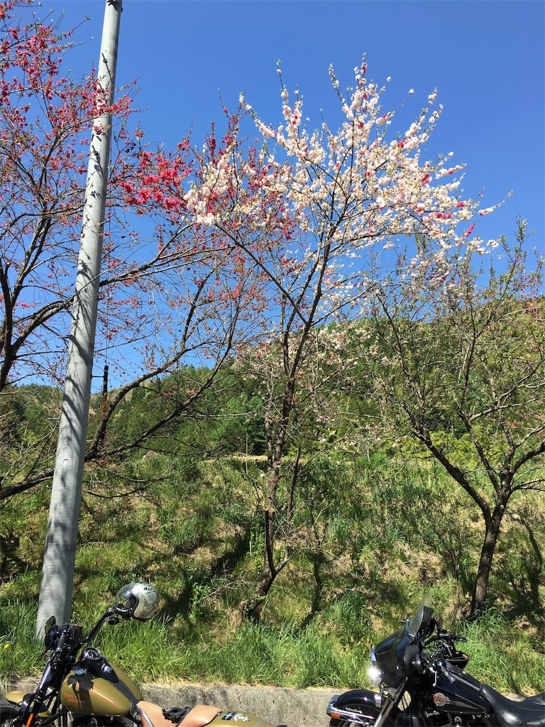 f:id:hiro805151:20160507163400j:image f:id:hiro805151:20160507163400j:image