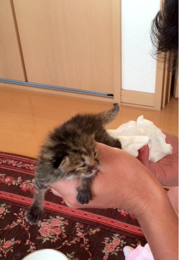 f:id:hiro80classic:20151006234810j:image f:id:hiro80classic:20151006234810j:image