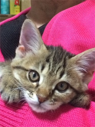f:id:hiro80classic:20160107150820j:image f:id:hiro80classic:20160107150820j:image
