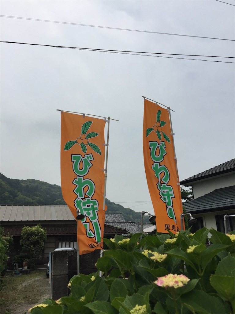 f:id:hirobirosan:20160530183922j:image f:id:hirobirosan:20160530183922j:image