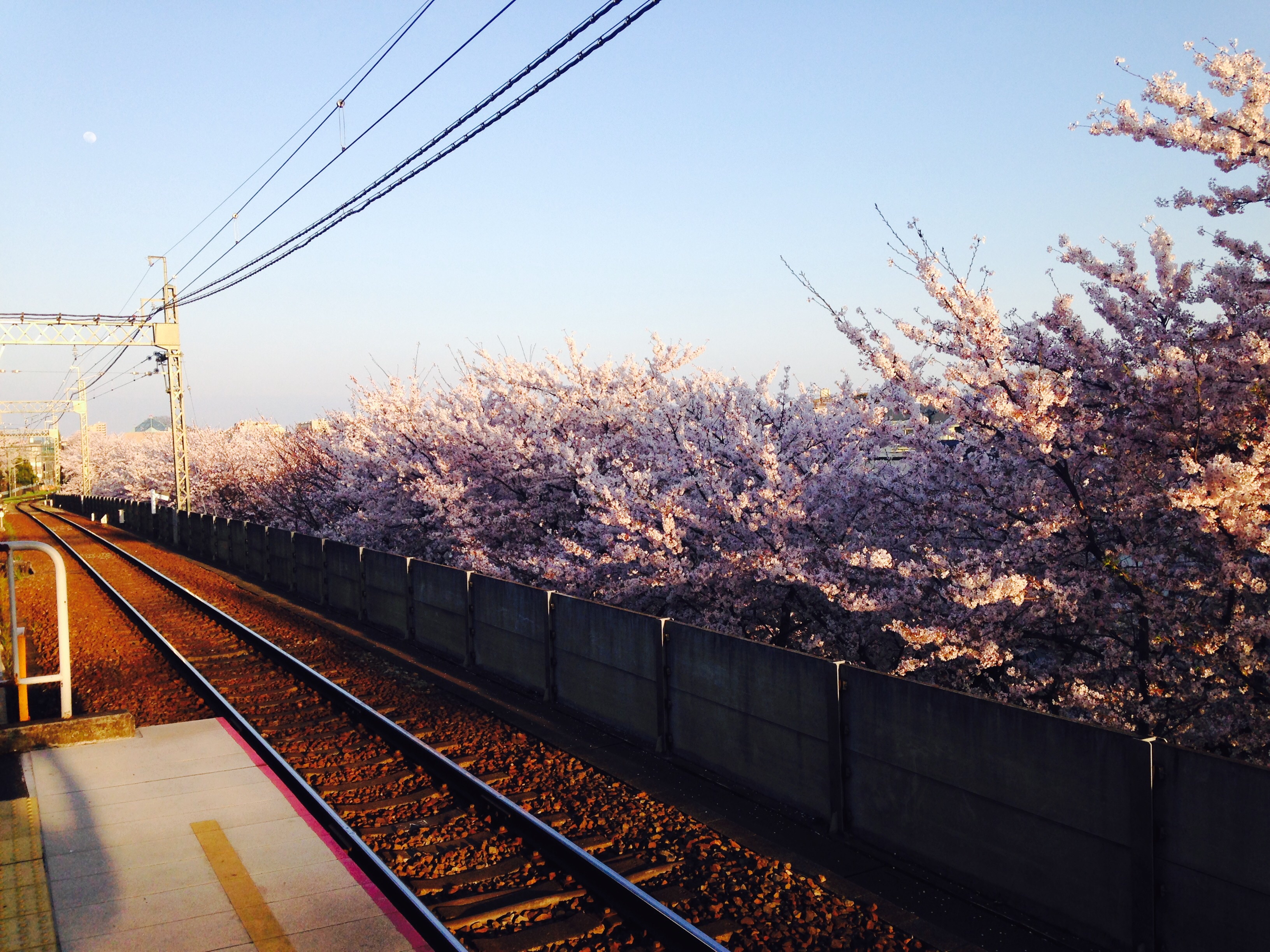 f:id:hirohisakato:20150416010459j:plain f:id:hirohisakato:20150416010459j:plain