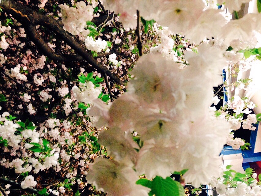 f:id:hirohisakato:20150416010708j:plain f:id:hirohisakato:20150416010708j:plain