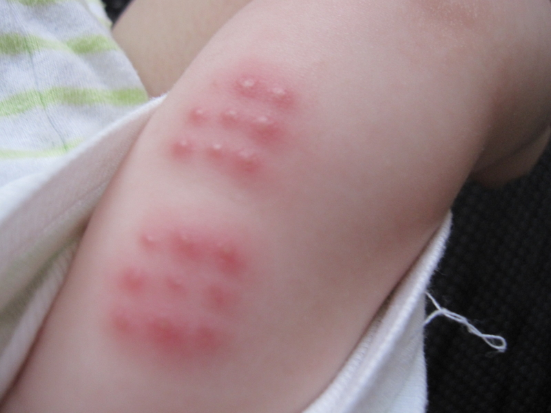 f:id:hirokomax:20110704182327j:image f:id:hirokomax:20110704182327j:image