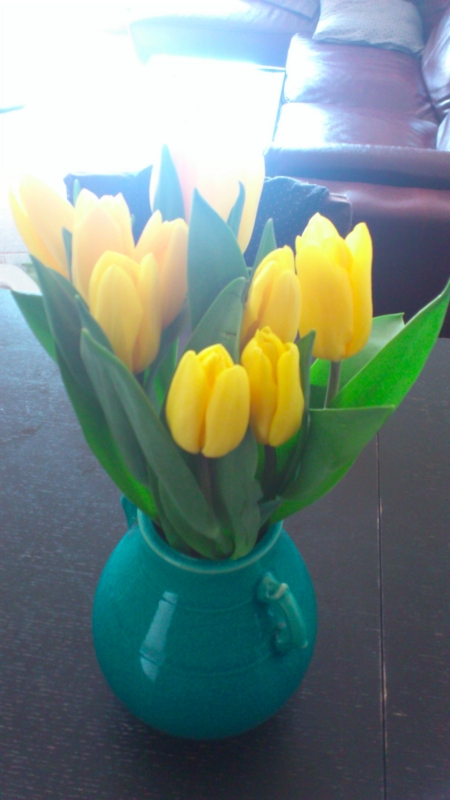 f:id:hirokomax:20130307131933j:image f:id:hirokomax:20130307131933j:image