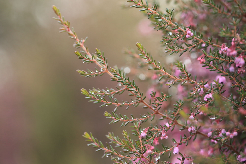 f:id:hirokows:20160524223536j:plain f:id:hirokows:20160524223536j:plain