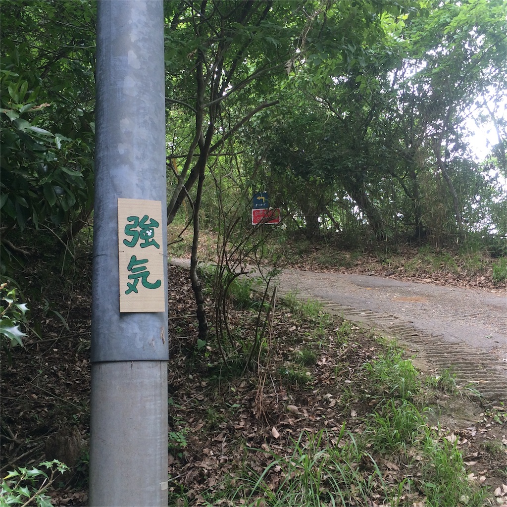 f:id:hirumesikuraimu:20160525192652j:image f:id:hirumesikuraimu:20160525192652j:image
