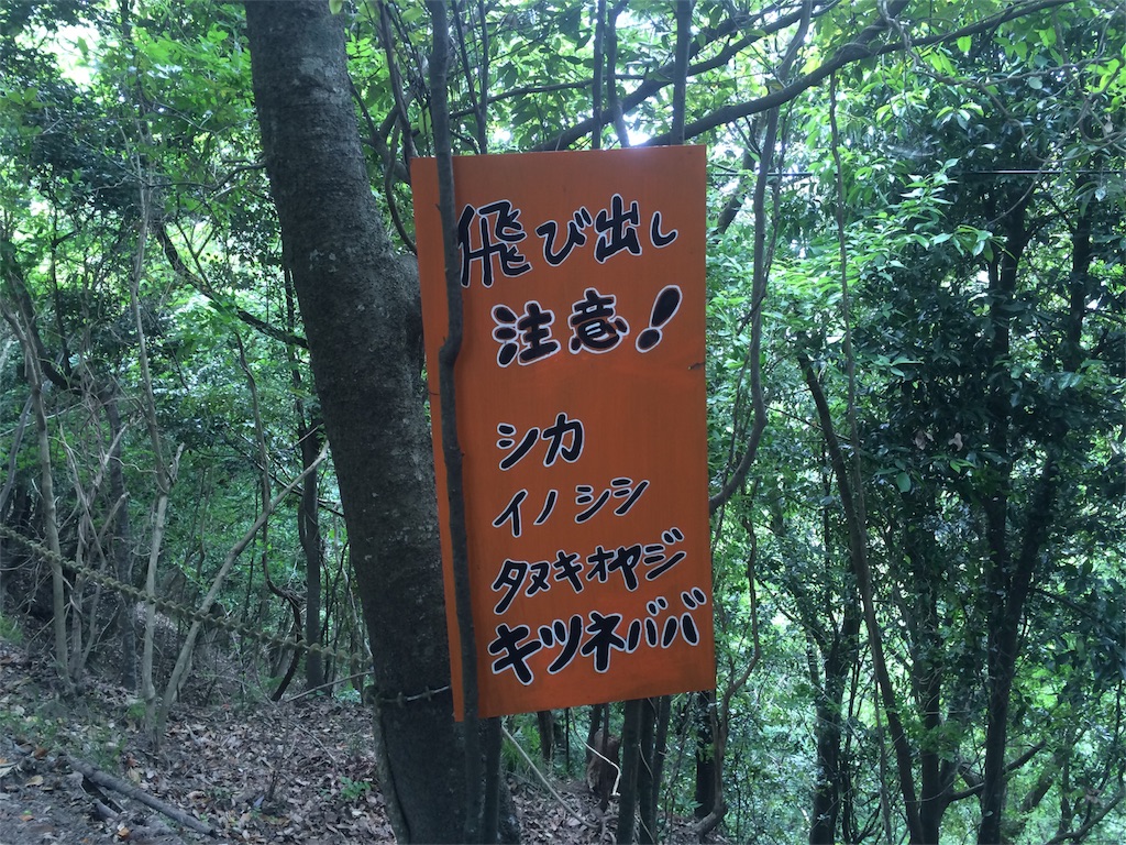 f:id:hirumesikuraimu:20160525192703j:image f:id:hirumesikuraimu:20160525192703j:image