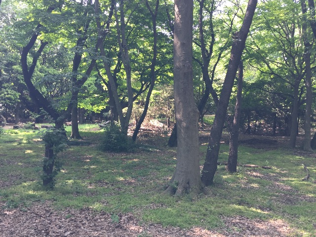 f:id:hisabisaunkmn:20150510170539j:image f:id:hisabisaunkmn:20150510170539j:image